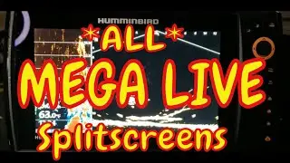 Humminbird Mega Live Splitscreens (Tutorial of ALL Mega Live VIEWS!)