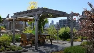 INDIAN TERRACE GARDEN SETUP WARS 2020 EP1