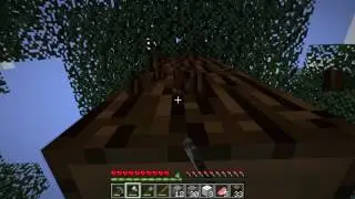How to get Spruce Wood - Minecraft