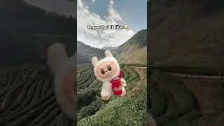I want to reach 1k likes
