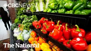 Healthier lifestyle choices can prevent premature heart disease, report suggests