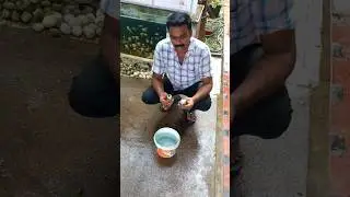 Winter fish care👍🏻👍🏻
