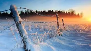 Cold Blue - Ocean Breeze [2020]