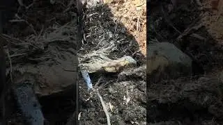 When Off-Roading Goes WRONG!! Better have tools 😖🪚🇺🇸✌🏻#offroad #utv #forest #tools