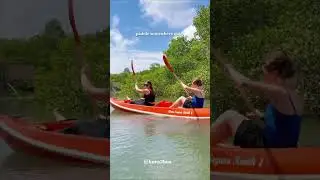 Paddle through Bali&rsquo;s peaceful mangrove forest and see a different side of the island 🌿