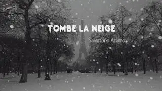 [Vietsub] Tombe la neige ║ Ngoài kia tuyết rơi - Salvatore Adamo (1963)