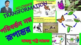 HOW  TRANSFORMATION WORK