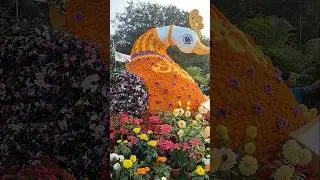 Annual Flower Show Bhubaneswar 🌺🌹💐#flowershow #bhubaneswar #shorts #viralvideo #flowers #trending