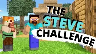 The STEVE Challenge