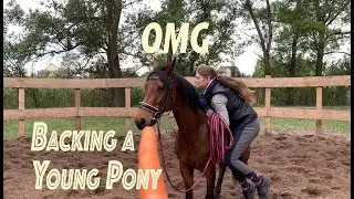 Backing a Pony | What I Begin With Starting a Young Horse | LanaZavada
