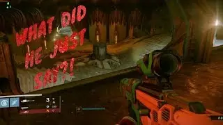 DESTINY RAID FUNNY MOMENTS