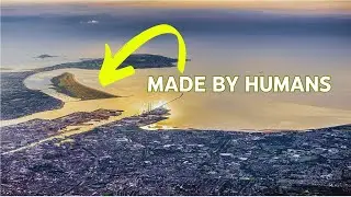 North Bull Island: Dublin's Accidental Nature Reserve