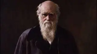 James Rachels on Darwin & Animal Ethics (1991)