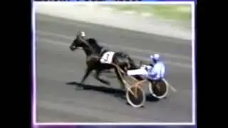 1998 Meadowlands MURRAY BROWN-Bob Heyden