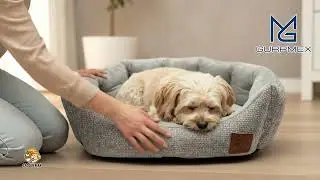 GURPMEX DISTRIBUIDOR AUTORIZADO EN EL CANAL MAYOREO DE LAS CAMAS PARA PERROS Y GATOS CROQUEMAX