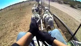 Four-up rein handling practice