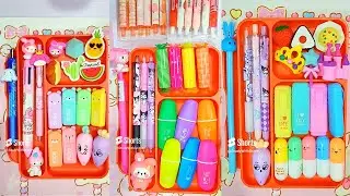 Filling Platter With Stationery Compilations ASMR