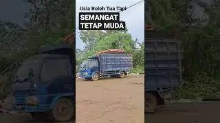Semangat Kerja diusia Tidak Muda #shorts #loading #palmshell