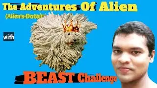 My Favourite Dog Breeds In The World🦮|Alien's Data |Multiverse TV