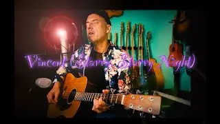 Vincent (Starry, Starry Night) - Don McLean - Johnny Gold Cover - Vintage Martin D-18