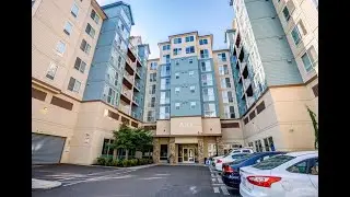 Apex Apartments - Mt. Jefferson (1 bed/1 bath, 589 sq ft)