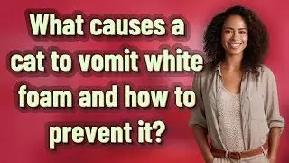 What causes a cat to vomit white foam and how to prevent it?