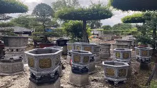 Chậu trồng cây lục giác đẹp giá rẻ ở Bình Dương, Hồ Chí Minh 0944353629