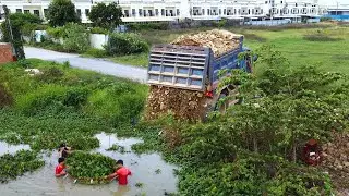 First Start Amazing PROJECT!! LANDFILL Delete Deep Pond In Flooded Area Use D21p Dozer & 5Ton Truck.