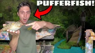NETTING DEADLY PUFFERFISH IN TIDE POOLS!