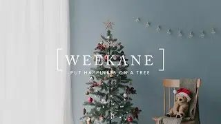 WEEKANE - Put Happiness On A Tree