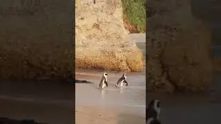 subhan allah walhamdulillah wala ilaha illallah wallahu akbar