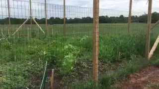 Piscataway Vo-Tech's Garden