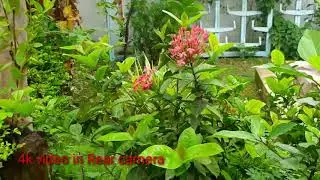 Oppo k3 Camera test ,4k video Recording