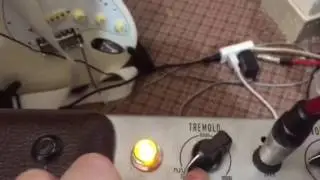 Fender Excelsior Reverb Mod