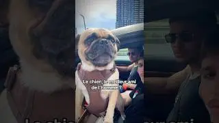 L&rsquo;amour d&rsquo;un chien #love #dog #doglovers #quote