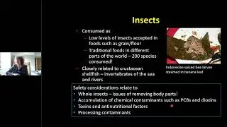 Food Safety Considerations of Alternative Proteins (Clare Mills)