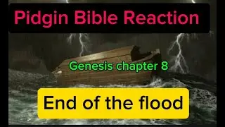 End of the flood Genesis 8 explained in simple Pidgin English! In this powerful Bible reaction