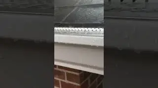Gutter Guards in Action