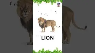 ANIMAL RIDDLES FOR KIDS WITH ANSWERS | EASY BRAIN TEASERS | EDUCATIONAL VIDEO FOR CHILDREN |