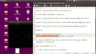 Export or Use Proxy in Terminal in Linux