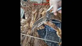 kitchen shears