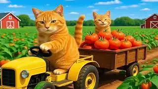 Cat family works jerney enjoy your mind video / #catsworld #catmama #cat #mazamix #viralcats #aicat 