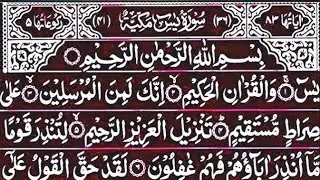 Surah Yaseen Surah Ar Rahman | Best Qur'an Recitation | Yaseen Shareef | Full With Arabic text HD 