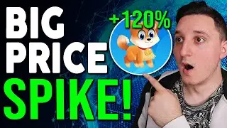 DOGE DASH HUGE PRICE SPIKE ! NFT RELEASE SOON ! SHOULD YOU BUY ? 100X POTENTIAL ?