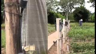 Proyecto de Difusión de Sistemas de Riego por Goteo de Baja Presión