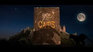 BBEXP 2024 CATS Performance Animated Video Wall Sample 3D and 2D work
