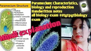 #uptgtbiology #ltgradebiology​ #neetbiology​ #paramecium​ #protozoa​ #tgtpgtbiology​
