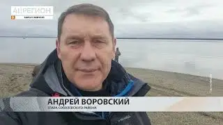 ГРУППА КОСАТОК НЕ МОЖЕТ ВЫБРАТЬСЯ ИЗ ЛИМАНА В СОБОЛЕВСКОМ РАЙОНЕ &bull; НОВОСТИ КАМЧАТКИ