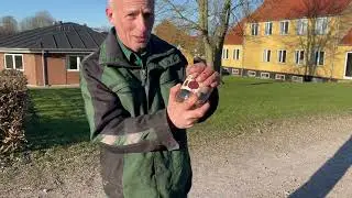 Podning af korn med kompost ekstrakt