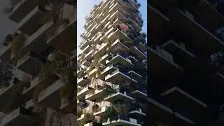 Have you ever seen The Vertical Forest?